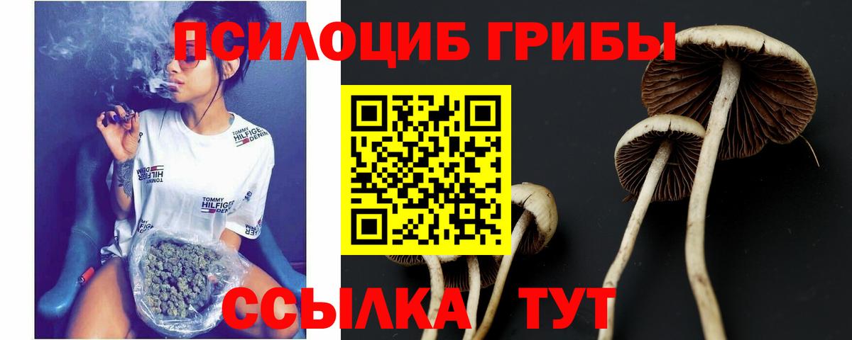 Барнаул  где купить   Галлюциногенные грибы мицелий  Вход с VPN  Галлюциногенные грибы прущие грибы 