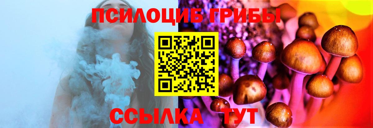 Галлюциногенные грибы GOLDEN TEACHER Барнаул